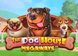 votejimbernard: The Dog House Megaways